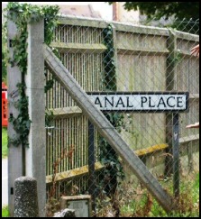 Anal Place