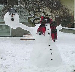 funny snowman
