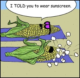 Corn Joke Cartoon