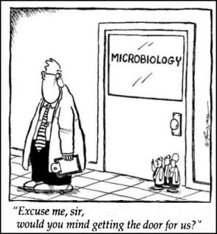 Microbiology cartoon