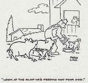 Pig slop cartoon